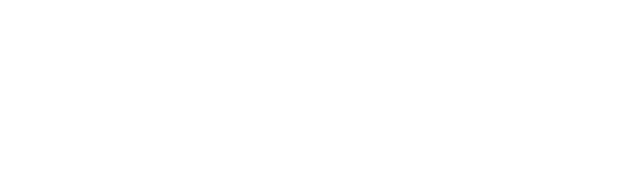 Cinnamon Air logo — Sri Lanka tour packages by Ceylon Travelex