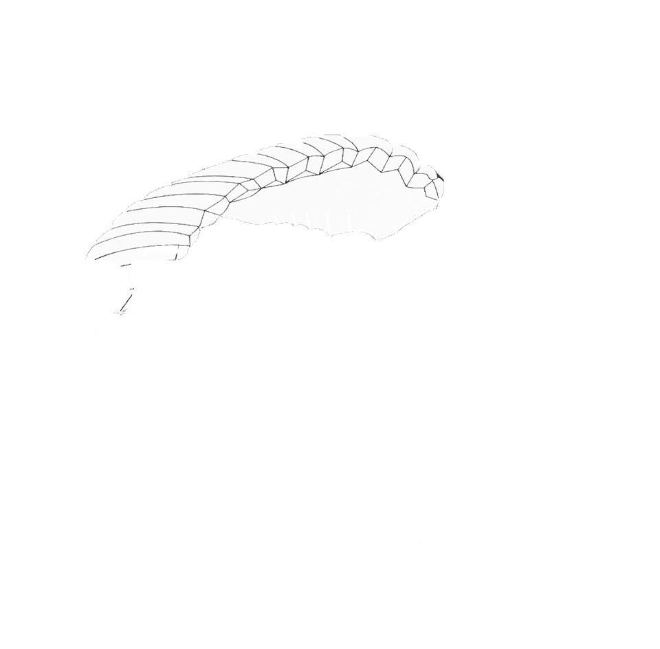 Para adventures graphic — Sri Lanka tour packages by Ceylon Travelex